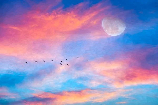 鳥の群れとして夕日の空に昇る月が雲の上を飛んでいる絵画形式 — ストック写真