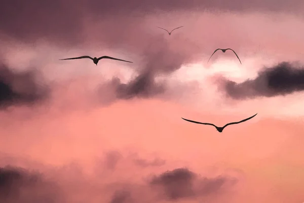 Gregge Uccelli Sta Volando Nella Nuvola Vibrante Riempito Cielo Tramonto — Foto Stock