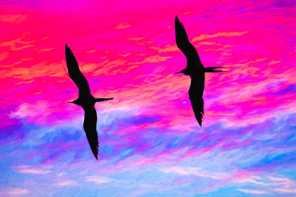 两只鸟儿带着翅膀飞翔 在色彩艳丽的日落天空下展开轮廓 画图格式 — 图库照片