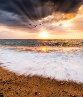 A Single Bird Is Flying Towards The Ocean Sunset Sky With Sun Rays Emanating Through The Clouds In Vertical Image Format