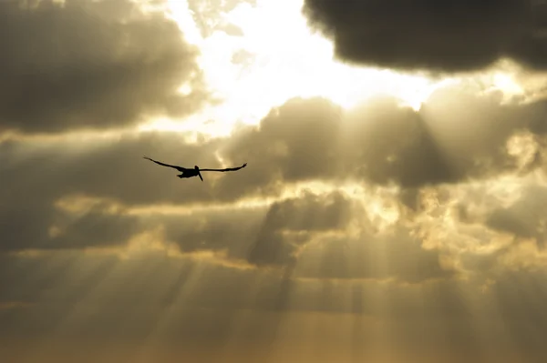 Rayo de sol cielo — Foto de Stock