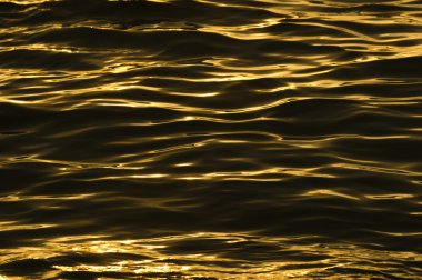 Su Ripples altın