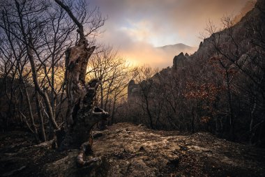 Güzel sonbahar manzarası