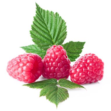 Yeşil yapraklı taze ahududu.