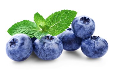 Nane yeşil yaprakları ile taze yaban mersini