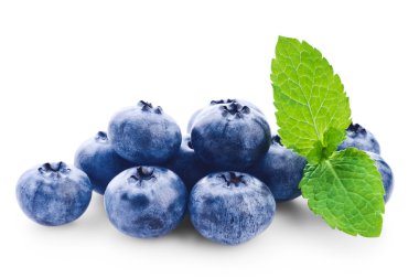 Nane yeşil yaprakları ile taze yaban mersini