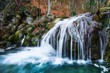 Sonbahar ormanında güzel bir şelale