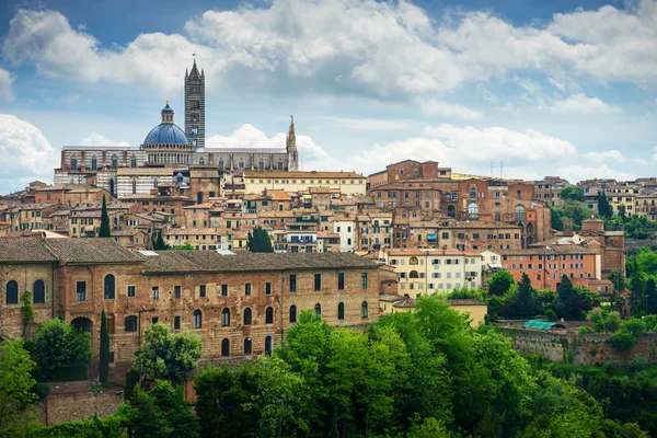 Sienna city, Italien — Stockfoto