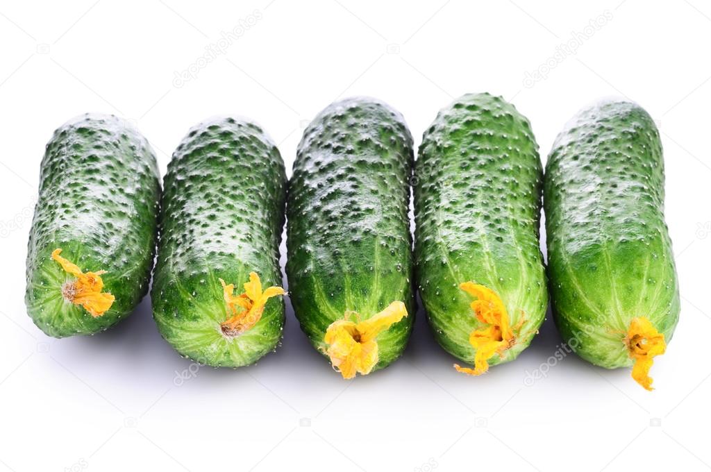 Fresh raw cucumbers