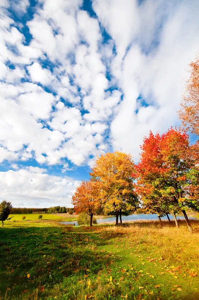 Outono Paisagem com árvores — Fotografia de Stock