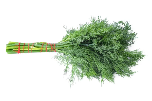 Bos van groene dill — Stockfoto