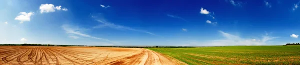 Beautiful Agricultural field — Stock Photo, Image