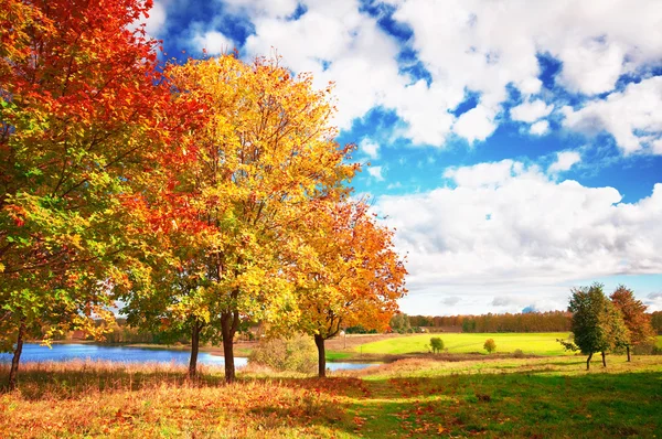 Höstlandskap i park — Stockfoto