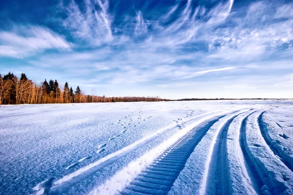 Faixas de snowmobile na neve — Fotografia de Stock