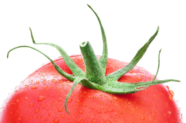 Fresh red tomato — Stock Photo, Image