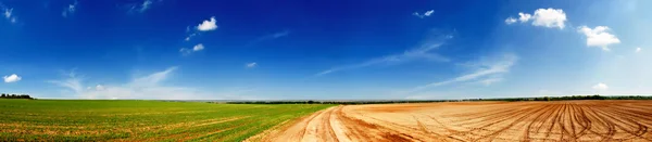 Belo campo agrícola — Fotografia de Stock