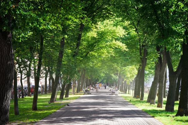 Parque verde de la ciudad —  Fotos de Stock