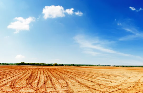 Belo campo agrícola — Fotografia de Stock