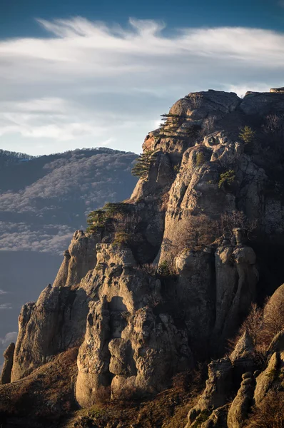 Güzel dağ orman — Stok fotoğraf