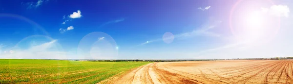 Bellissimo campo agricolo — Foto Stock