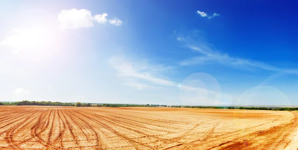 Schönes landwirtschaftliches Feld — Stockfoto