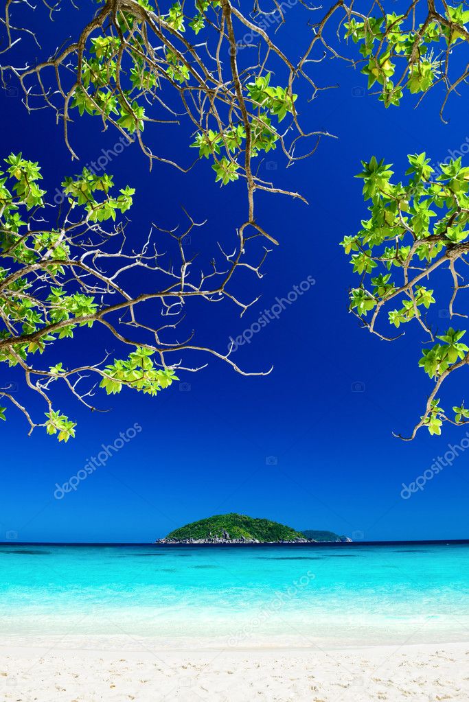 Tropical Similan islands