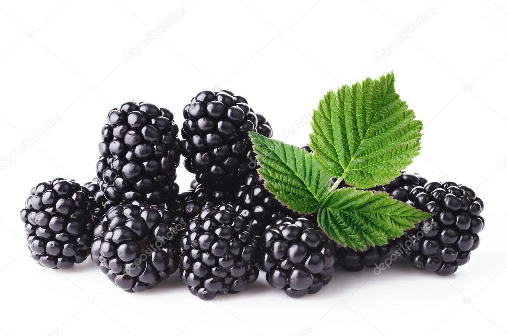 Fresh ripe blackberries