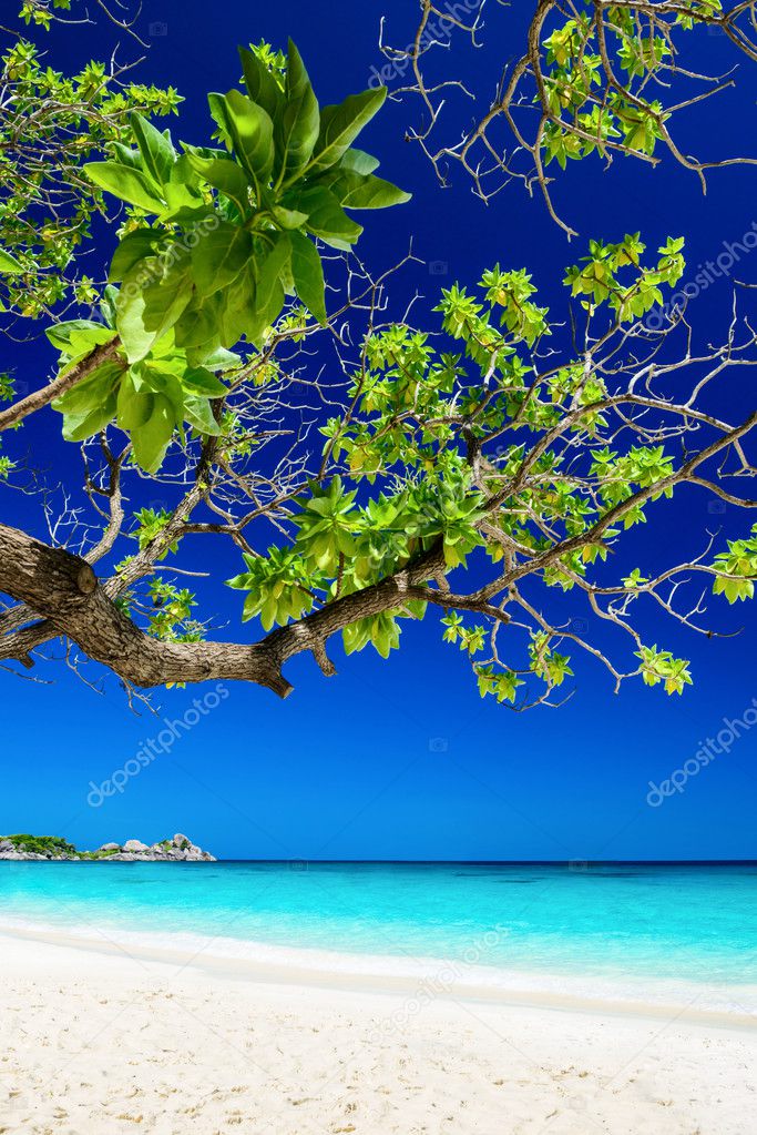 Tropical Similan islands