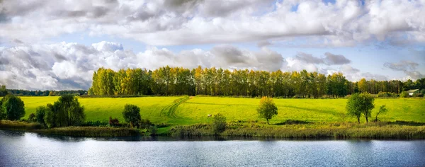 Höstlandskap i park — Stockfoto