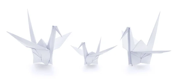 Grues en papier origami — Photo