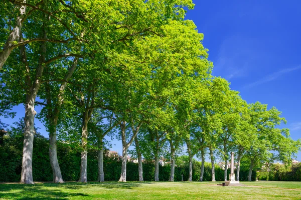 Boboli trädgårdar i Florens — Stockfoto