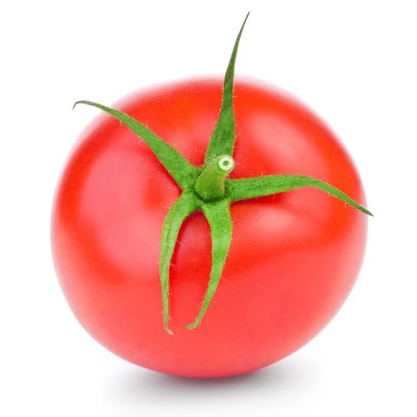 Fresh red tomato — Stock Photo, Image