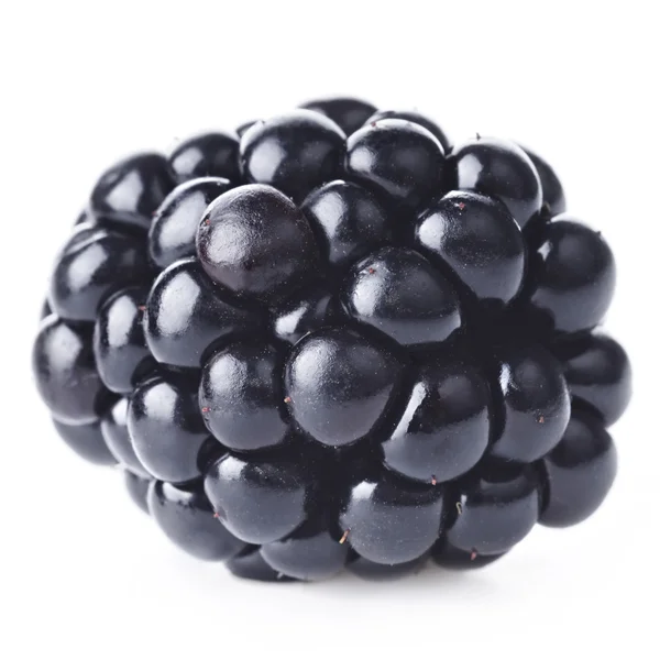 新鲜成熟的黑莓 — 图库照片