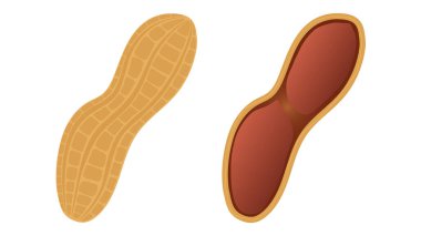 Fıstık ikonu, bütün ve bölüm halinde. İzole edilmiş düz simge sembolü. Vektör