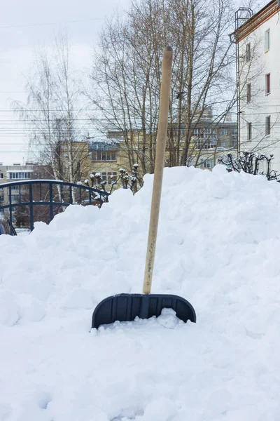 a large pile of snow with a shovel stuck in. snow removal. large amount of precipitation in winter