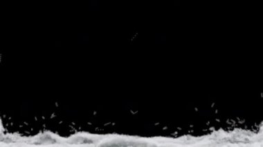 Kar birikiyor. 3D Simülasyon ve Hazırlama. Alfa Kanalı ile.