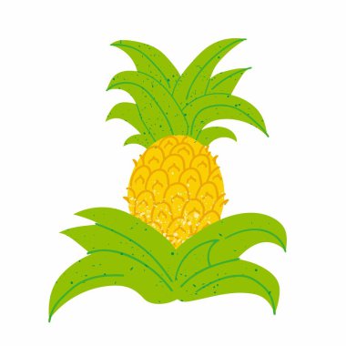 Ananas. Damga desenli egzotik tropikal meyve, yeşil yapraklı taze sarı ananas, beyaz arka planda izole edilmiş vektör karikatürü.