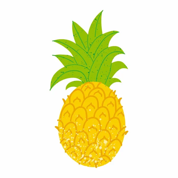Ananas Vorhanden Exotische Tropische Früchte Mit Stempelstruktur Frische Ganz Saftige — Stockvektor
