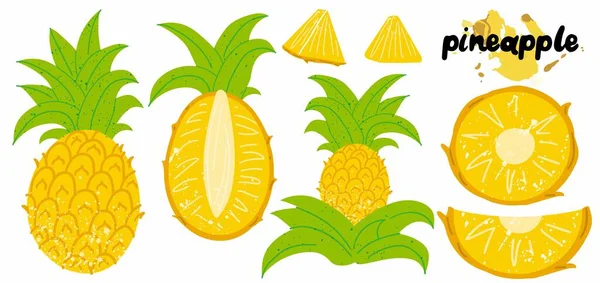 Ananas Vorhanden Exotische Tropische Früchte Mit Stempelstruktur Frische Ganz Saftige — Stockvektor