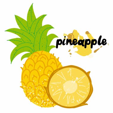 Yarı yarıya ananas. Pul desenli egzotik tropikal meyve, yeşil yapraklı yeşil yapraklı taze sarı ananas, izole edilmiş illüstrasyon. Yazdır ya da afiş, etiket ya da poster, etiket