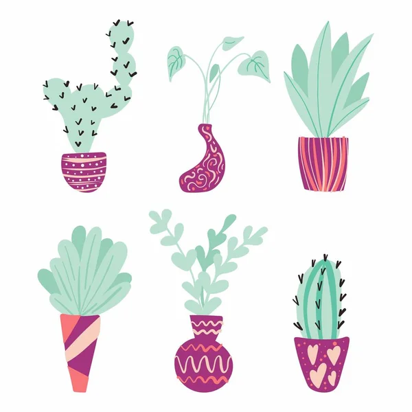 Plantes Intérieur Accueil Cactus Pot Ficus Succulents Eléments Design Intérieur — Image vectorielle