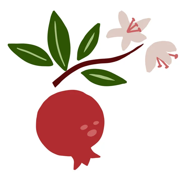 石榴枝 奇异的热带红色新鲜水果 全多汁的石榴石 绿叶和花 矢量漫画简约风格孤立的插图 印刷品或海报 — 图库矢量图片