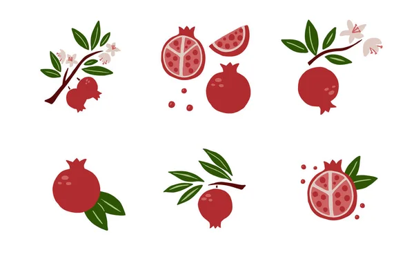 Granatapfel Plakatset Vorhanden Exotische Tropische Rote Früchte Ganze Saftige Granate — Stockvektor