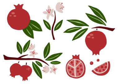 Nar seti. Egzotik tropik kırmızı taze meyve, yeşil yapraklı ve çiçekli sulu nar, dilim ve tohum vektörü çizgi film minimalist stili izole edilmiş illüstrasyon.