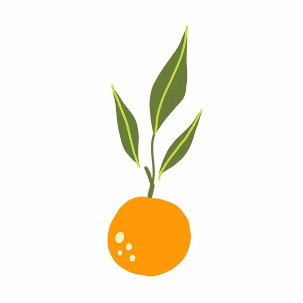 Branche Mandarine Agrumes Exotiques Tropicaux Orange Frais Mandarine Juteuse Entière — Image vectorielle