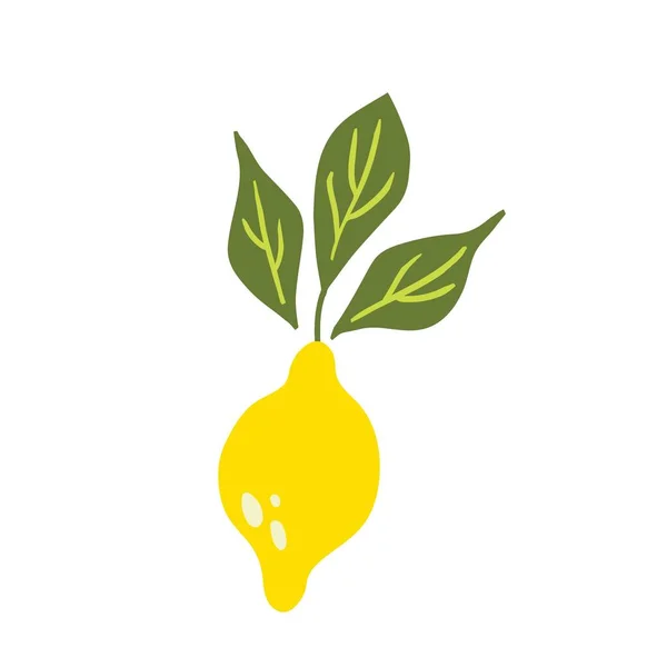 Zitronenzweig Exotische Tropische Gelbe Zitrusfrüchte Frische Früchte Ganze Saftige Zitrone — Stockvektor