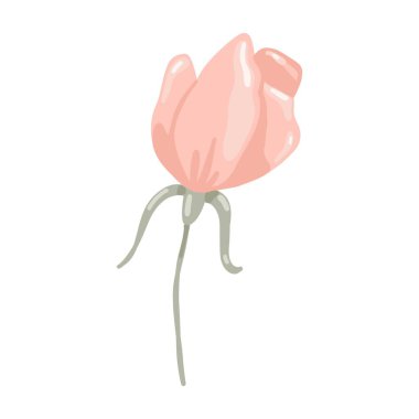 Pastel çiçek. El çizimi Boho tarzı botanik öğesi, bej gül ya da yumuşak renklerde şakayık çiçeği, düğün ve sevgililer günü kartları için romantik dekor. Vektör izole edilmiş tek çizim