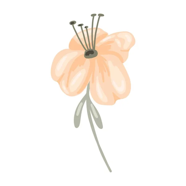 Pastel Çiçek Çizimi Boho Tarzı Botanik Öğesi Bej Gül Yumuşak — Stok Vektör