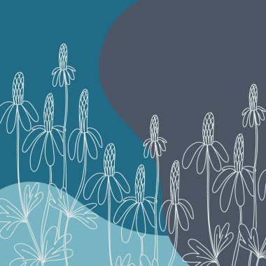 Papatya çayı arka planı çok az. El çizimi yabani çiçek ve soyut damla şekilleri, bitkisel çayır bitkisi, sosyal medya iletileri için modern çiçek şablonu, vektör botanik illüstrasyon pembe, mavi renkler