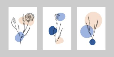 Cornflower minimal poster set. Hand drawn line black knapweed flowers and leaves with abstract shape. Herbal and meadow plant collection, modern wall art floral decor. Vector botanical collection clipart